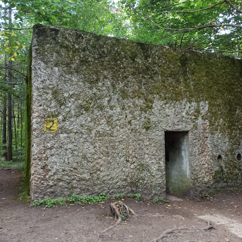 prostokątny budynek o grubych ścianach w środku lasu